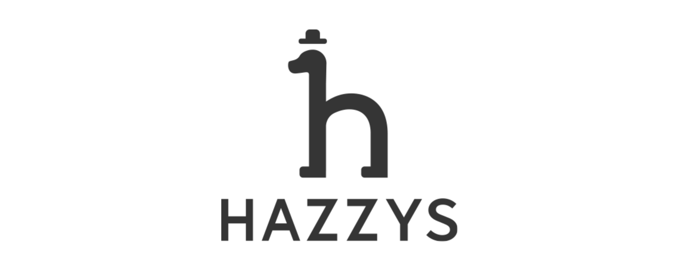 HAZZYS